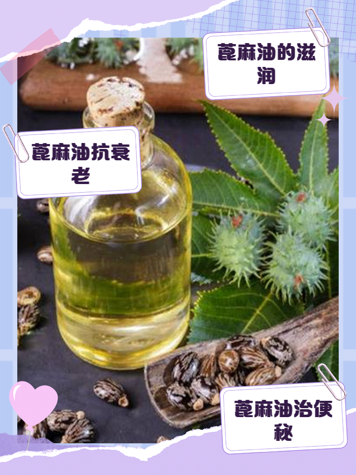 蓖麻的功效与作用