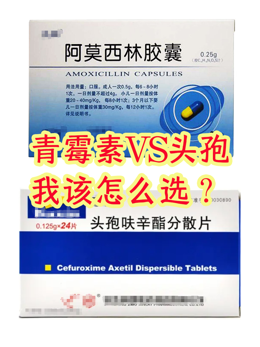 阿莫西林和头孢的区别