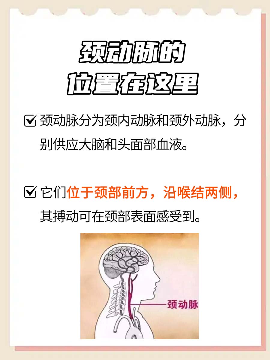 我想问下,割颈动脉要割多深就挂了