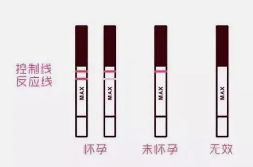 事后多久可测出怀孕