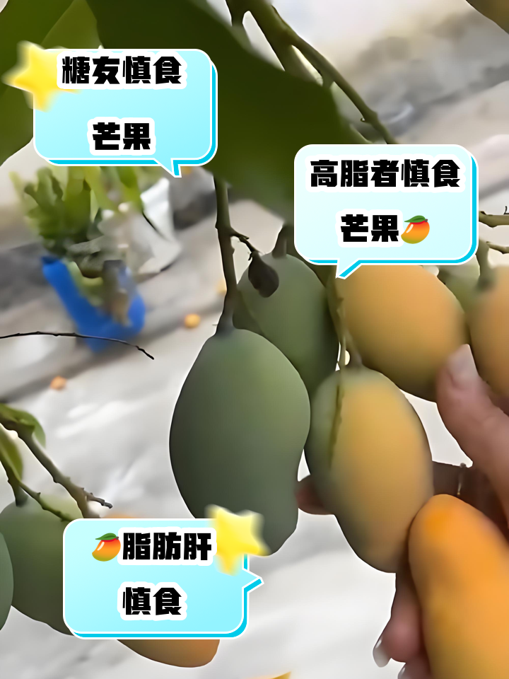 糖尿病能吃芒果吗