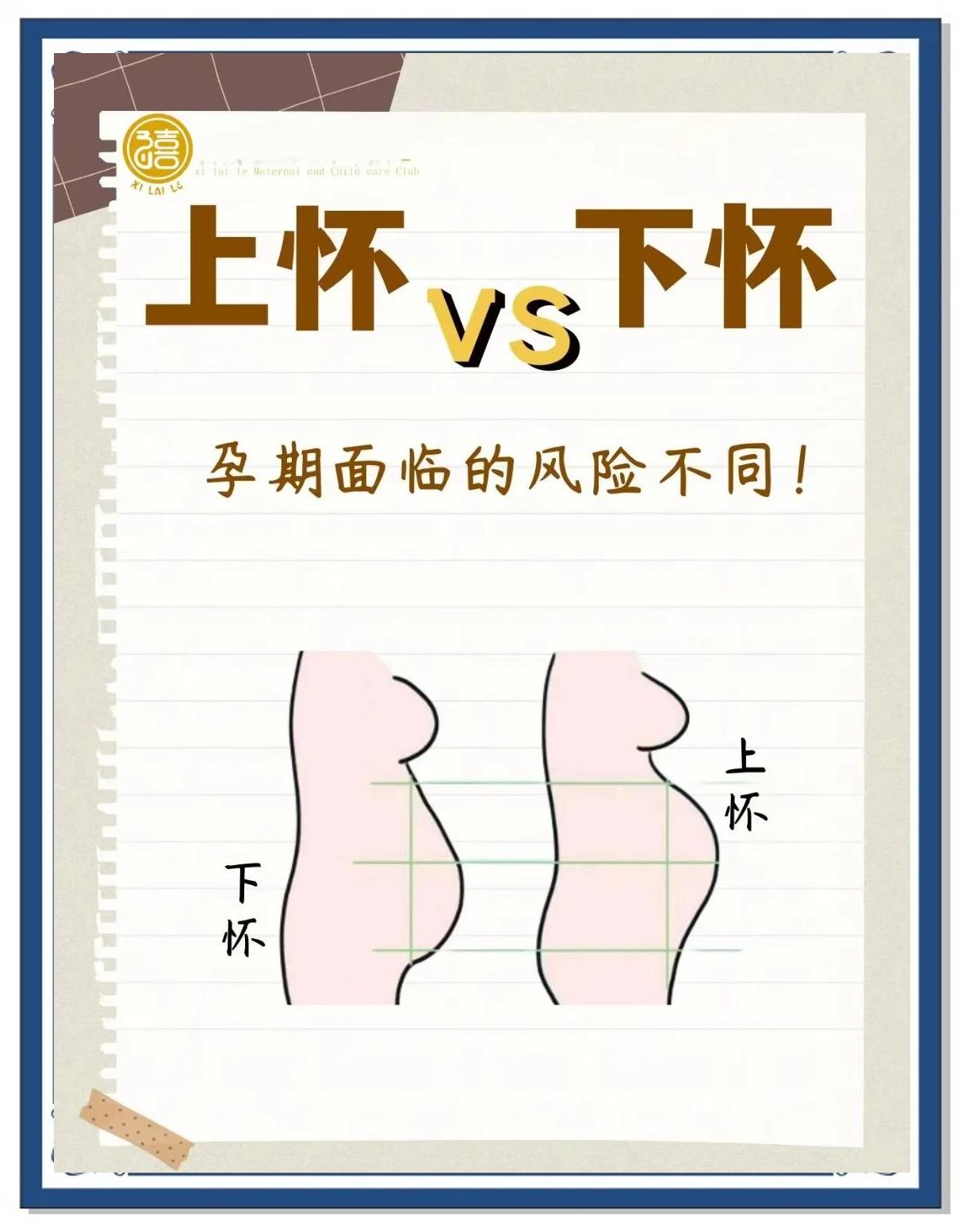 怀孕三个月肚子大小位置