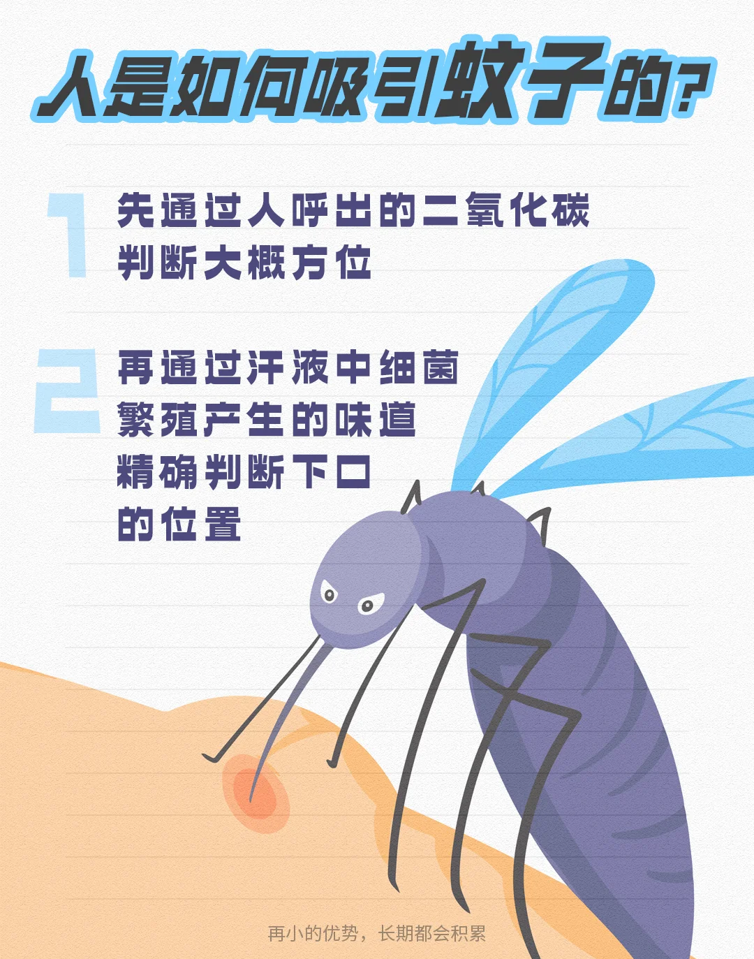 蚊子咬的原因和防止的办法