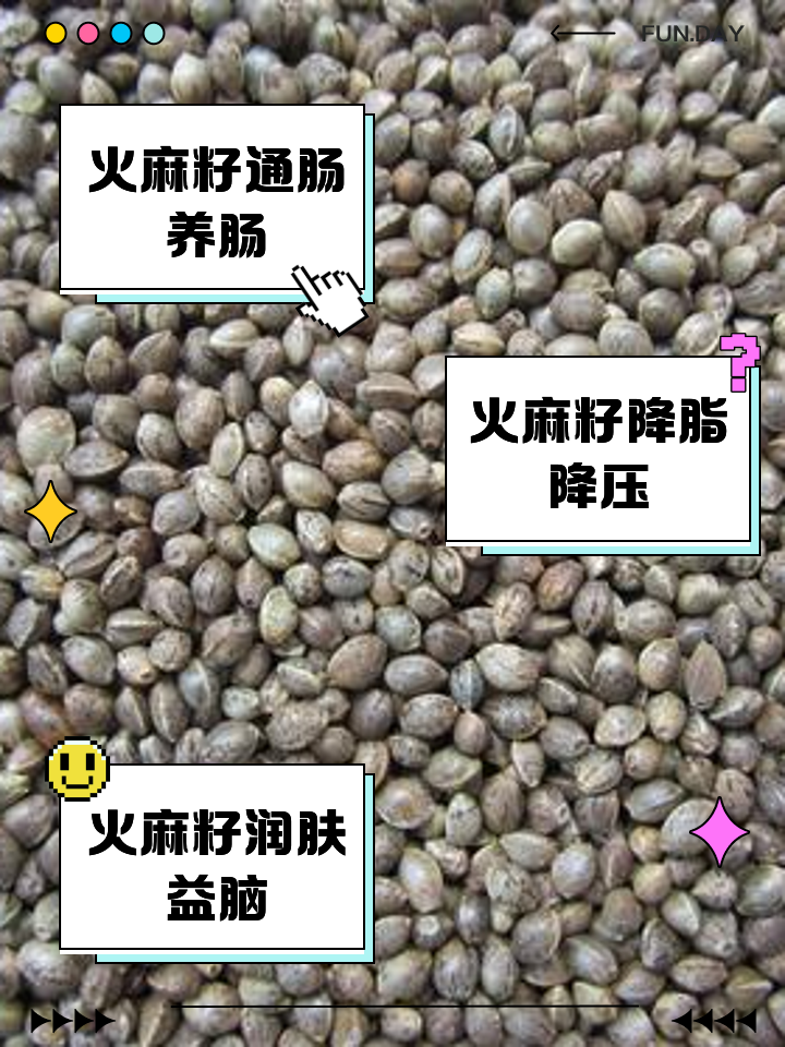 蓖麻子的作用和功效是什么呢?