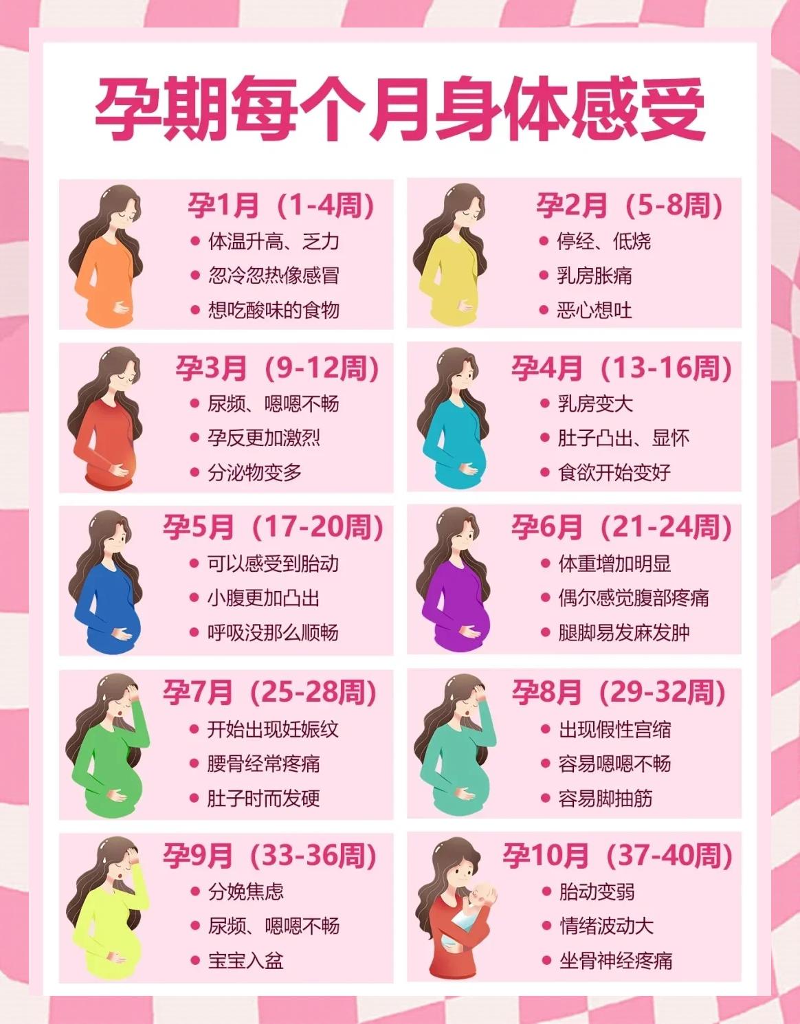 怀孕有哪些反应