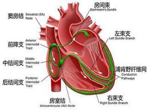 病态窦房结综合征临床表现是什么?