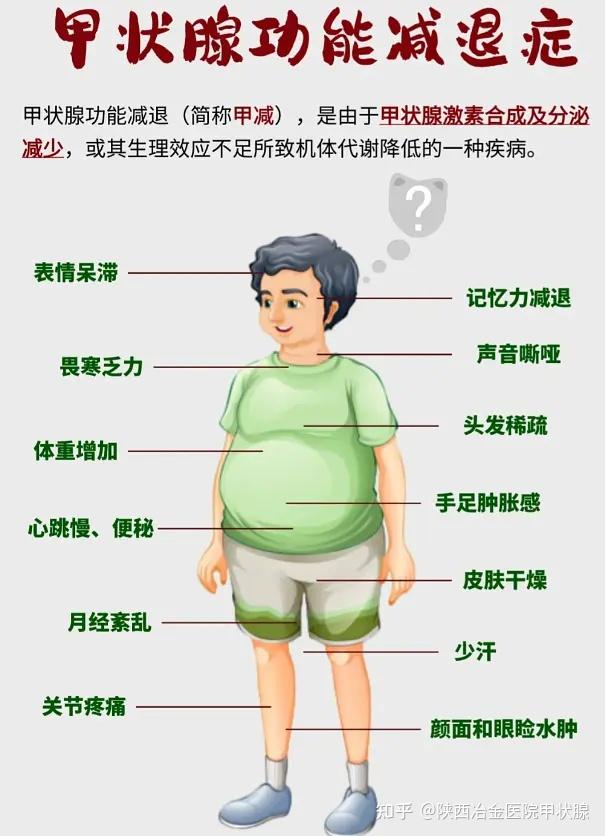 甲减症状的表现