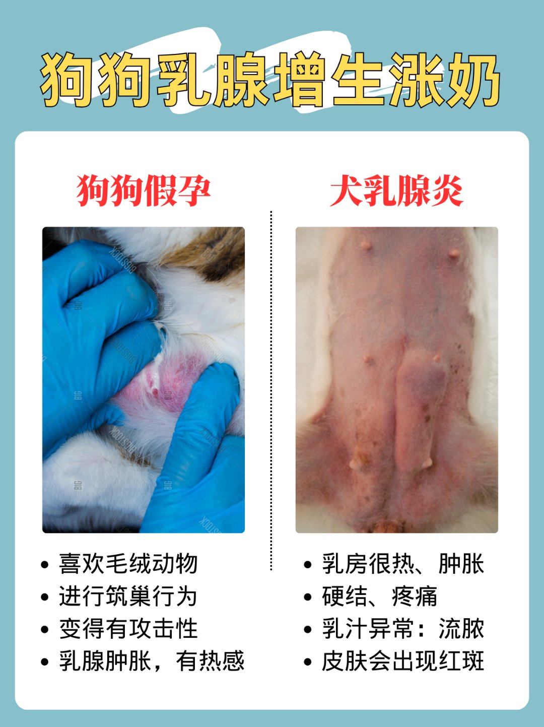 断奶涨奶有硬块怎么回事?