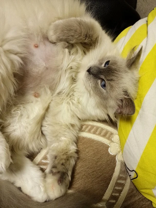 我十四岁第一次会不会怀孕