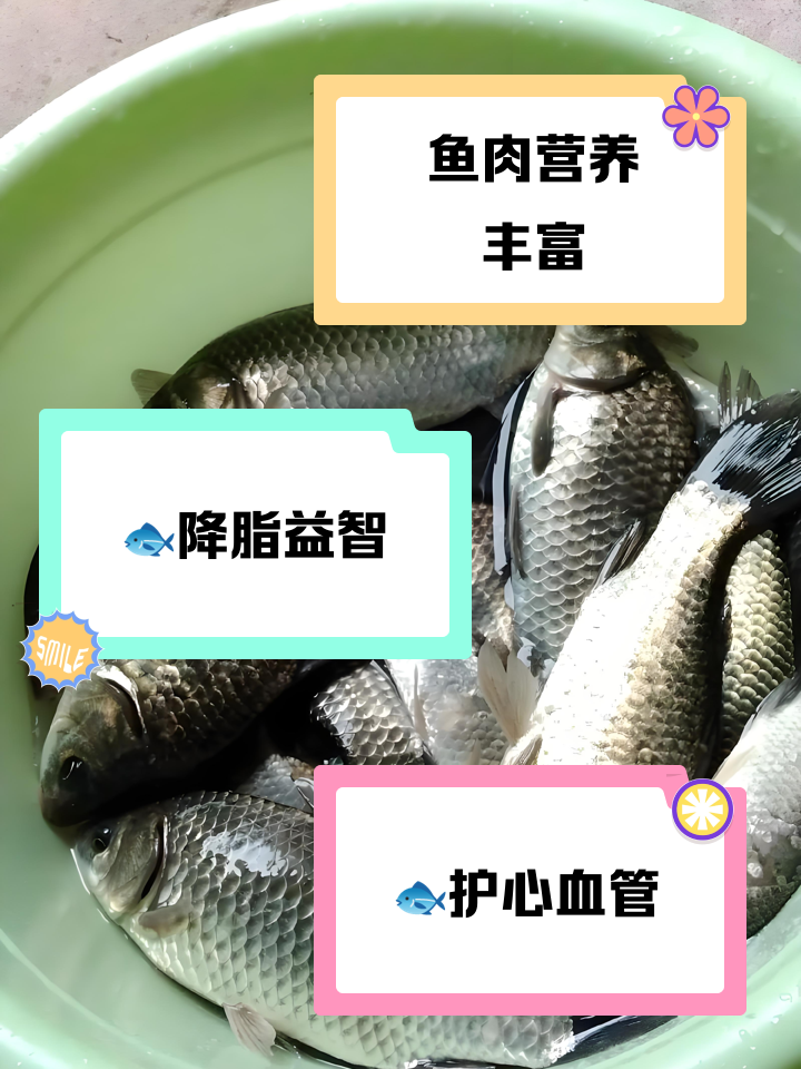 吃中药可以吃鱼吗