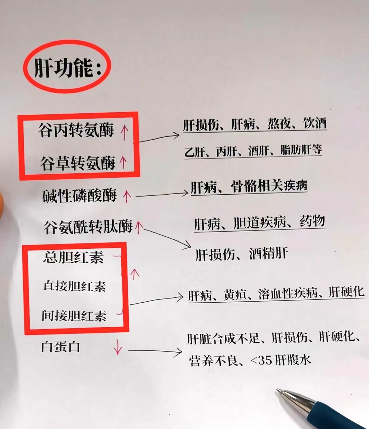 转氨酶高的危害