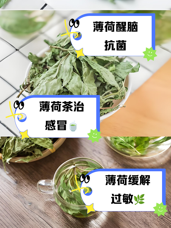 薄荷叶泡水喝的功效和作用都有什么
