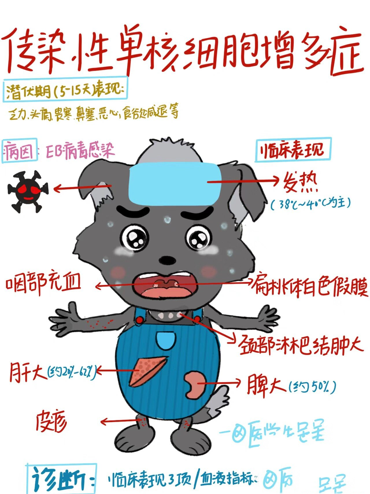 EB病毒抗体是什么意思