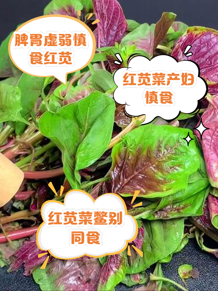 孕妇可以吃红苋菜吗?