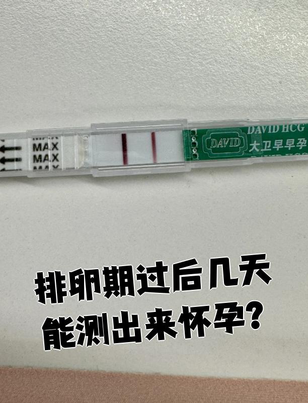 排卵期几天后能测出怀孕