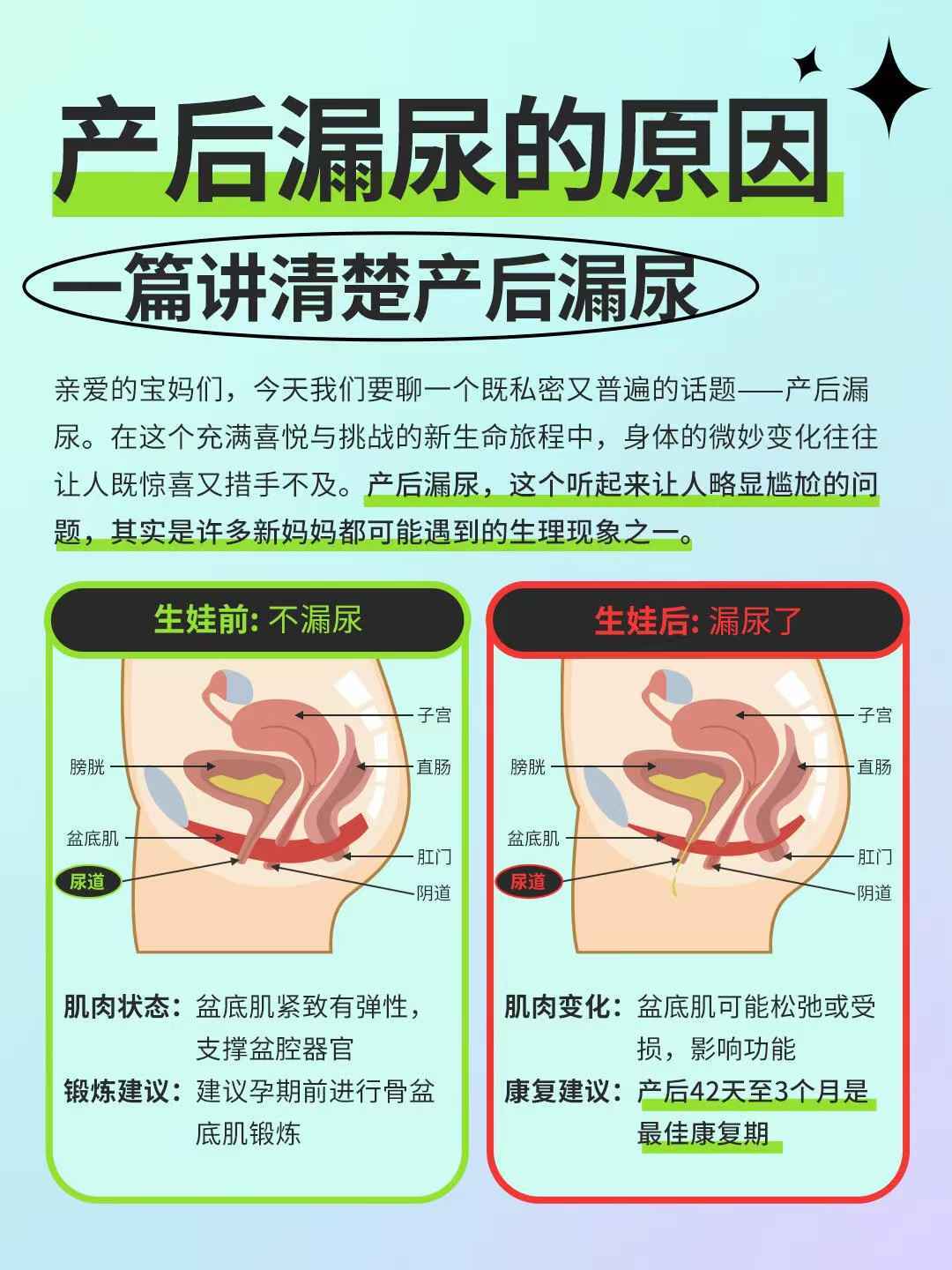 女性刚小便完又有尿意是什么原因