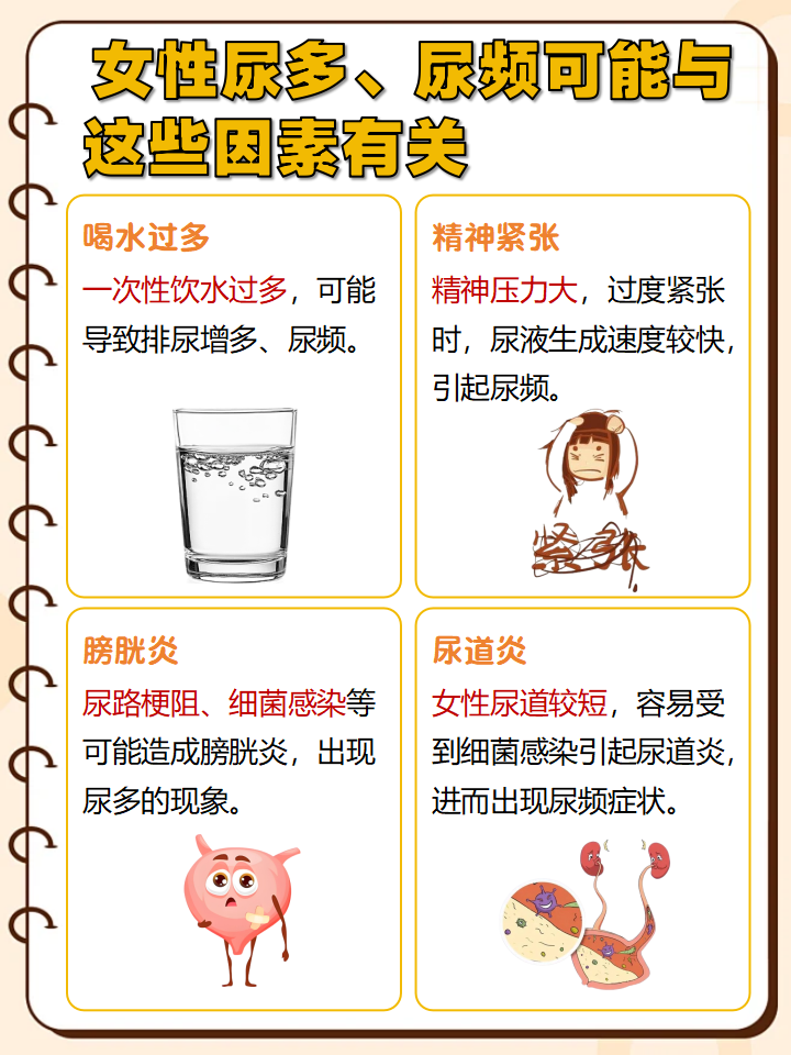 女性刚小便完又有尿意是什么原因