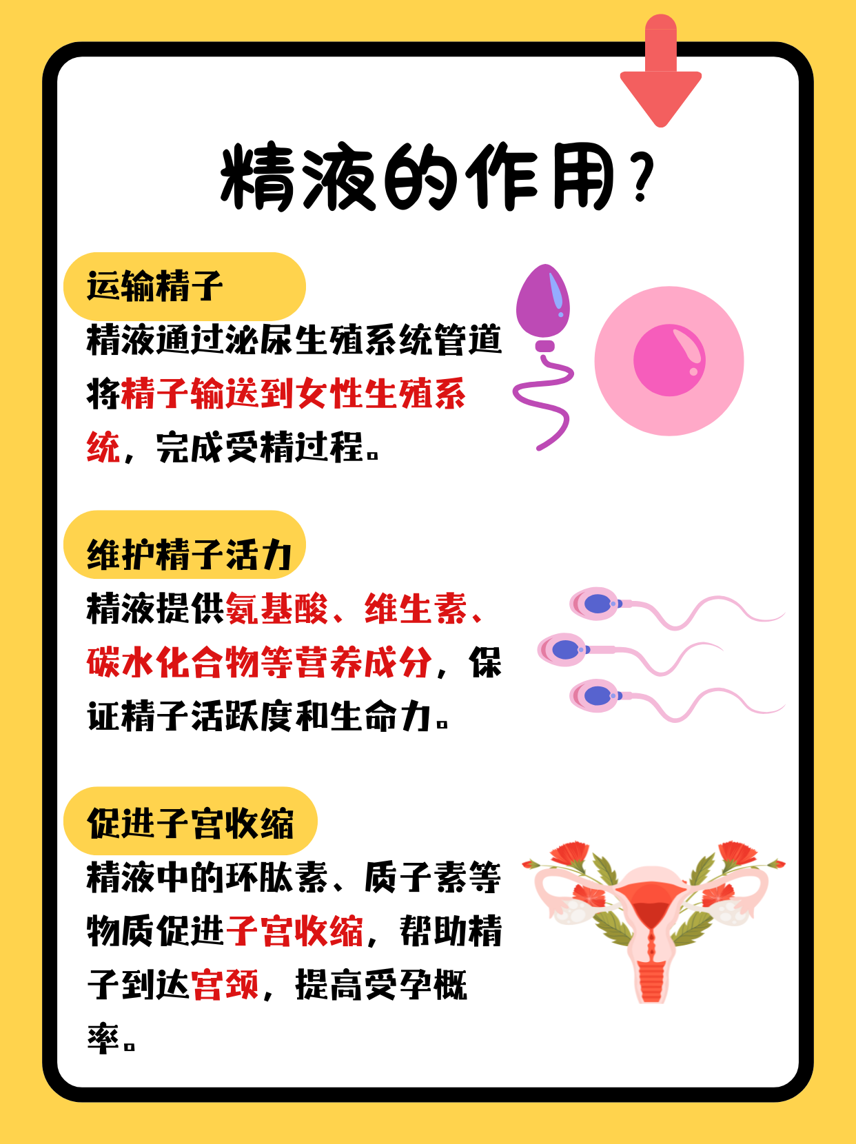 精子在空气中能活多长时间