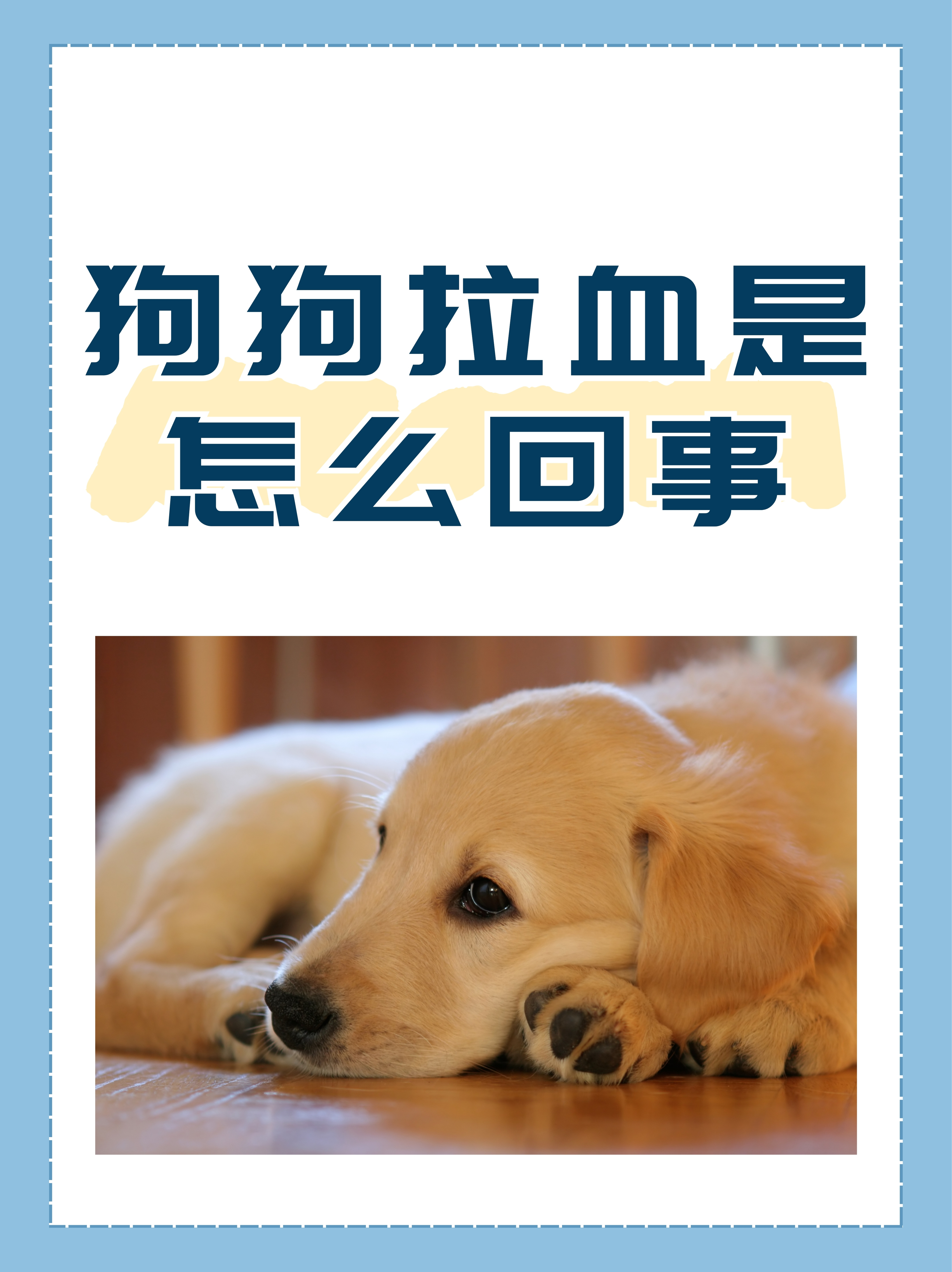 大便带鲜血怎么回事啊