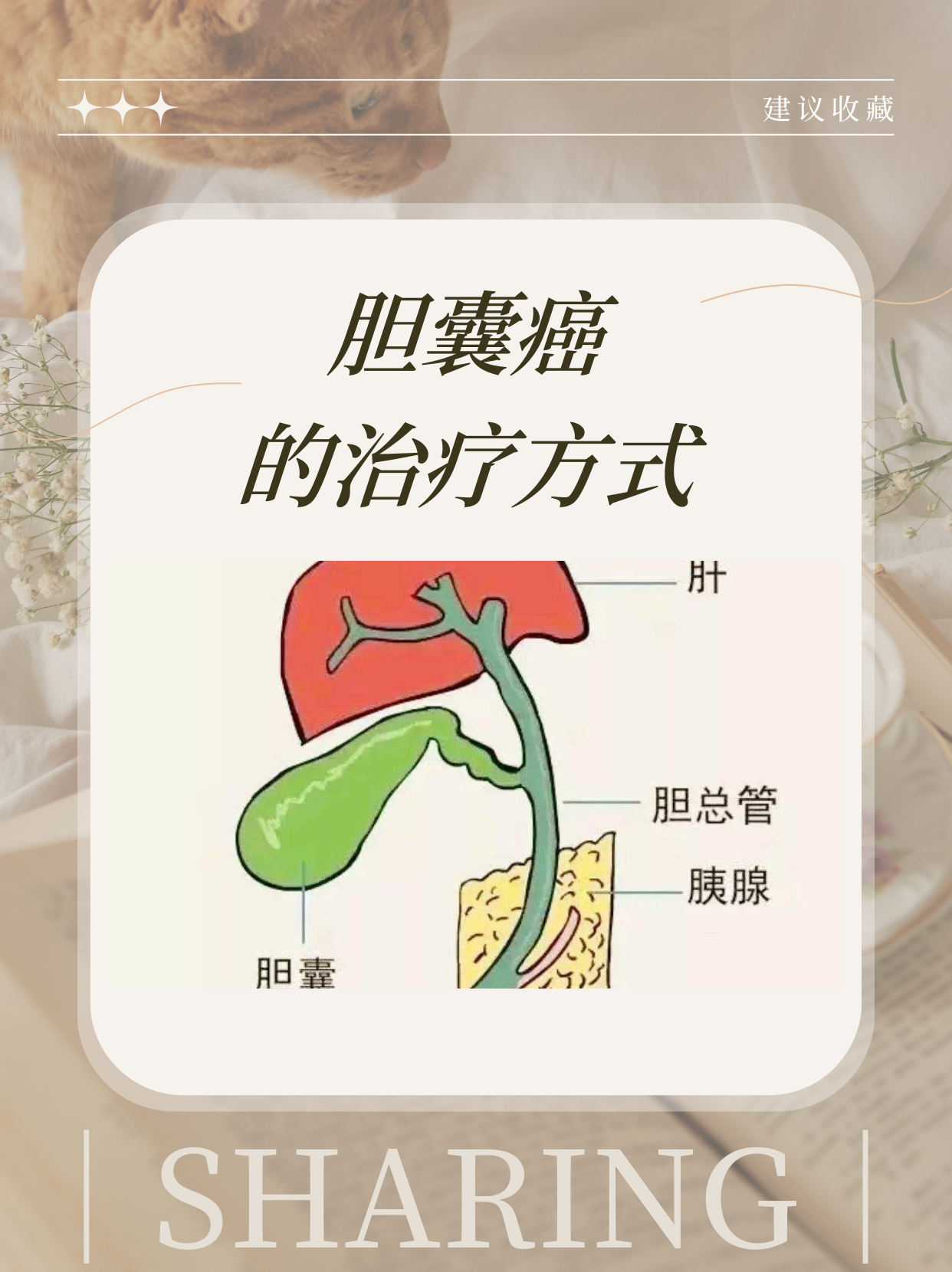 胆管癌可以治愈吗?