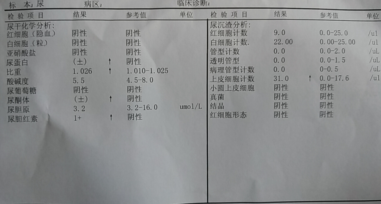 怎样看尿常规化验单