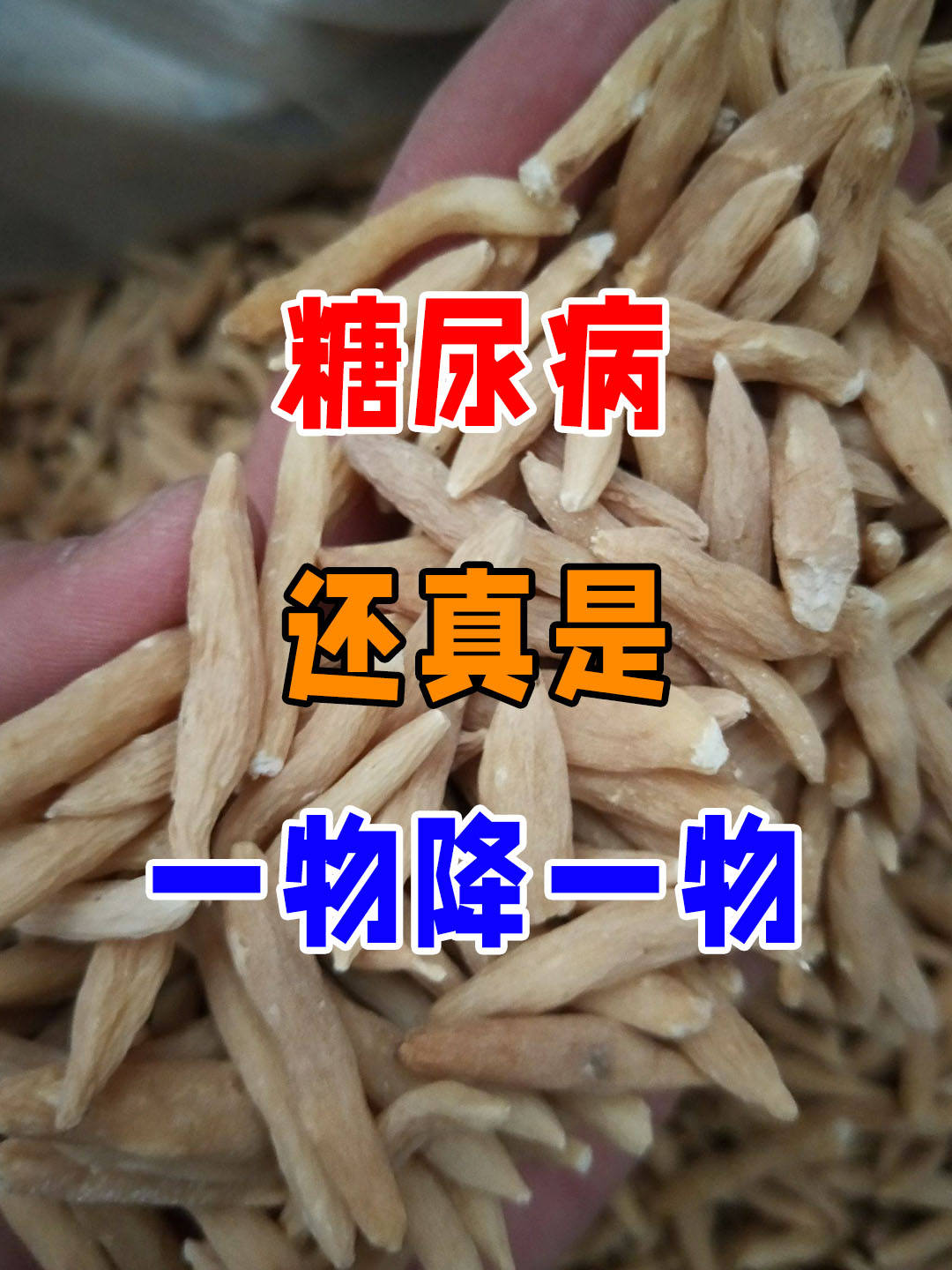 中药降糖药有哪些