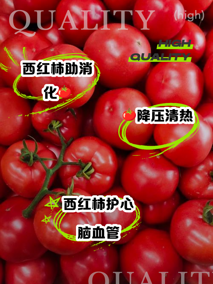 天天吃西红柿对身体有害吗?