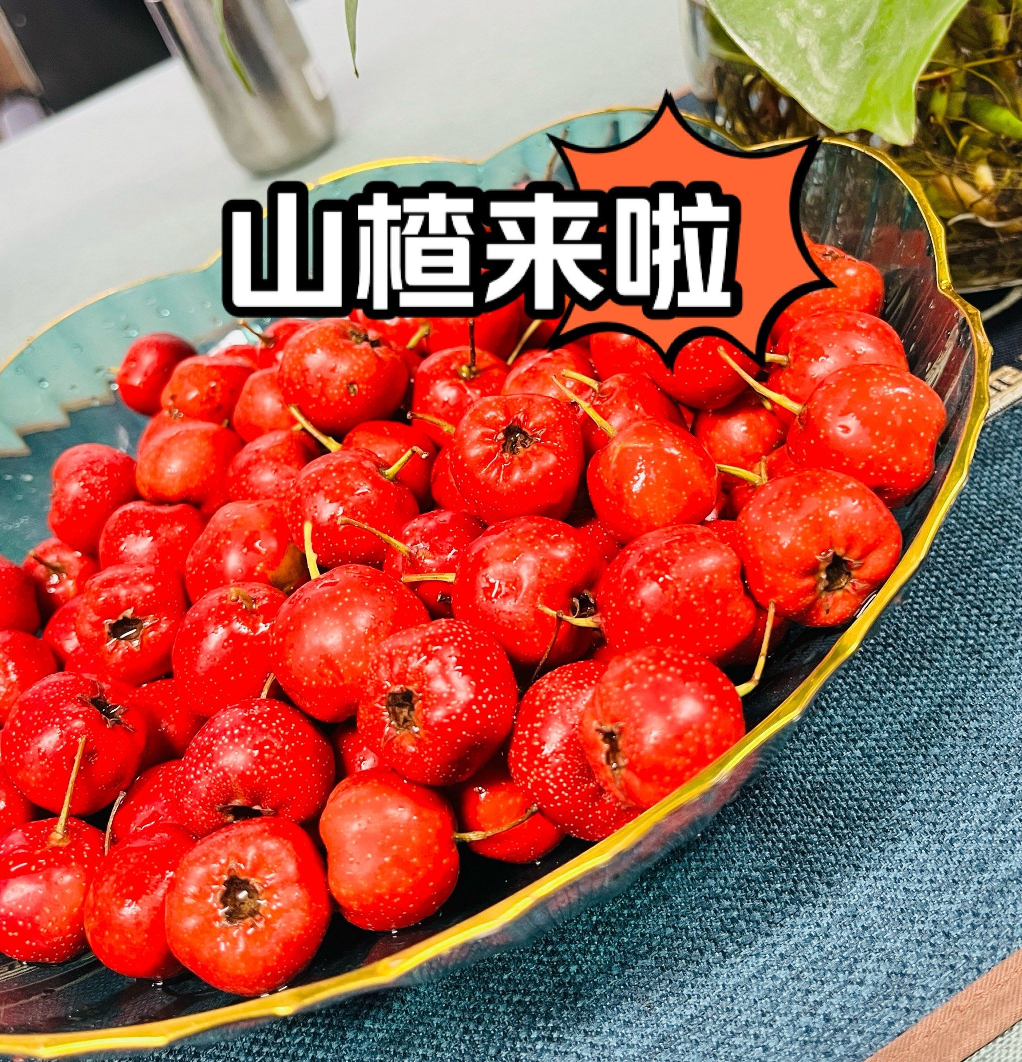 怀孕期间能吃山楂吗