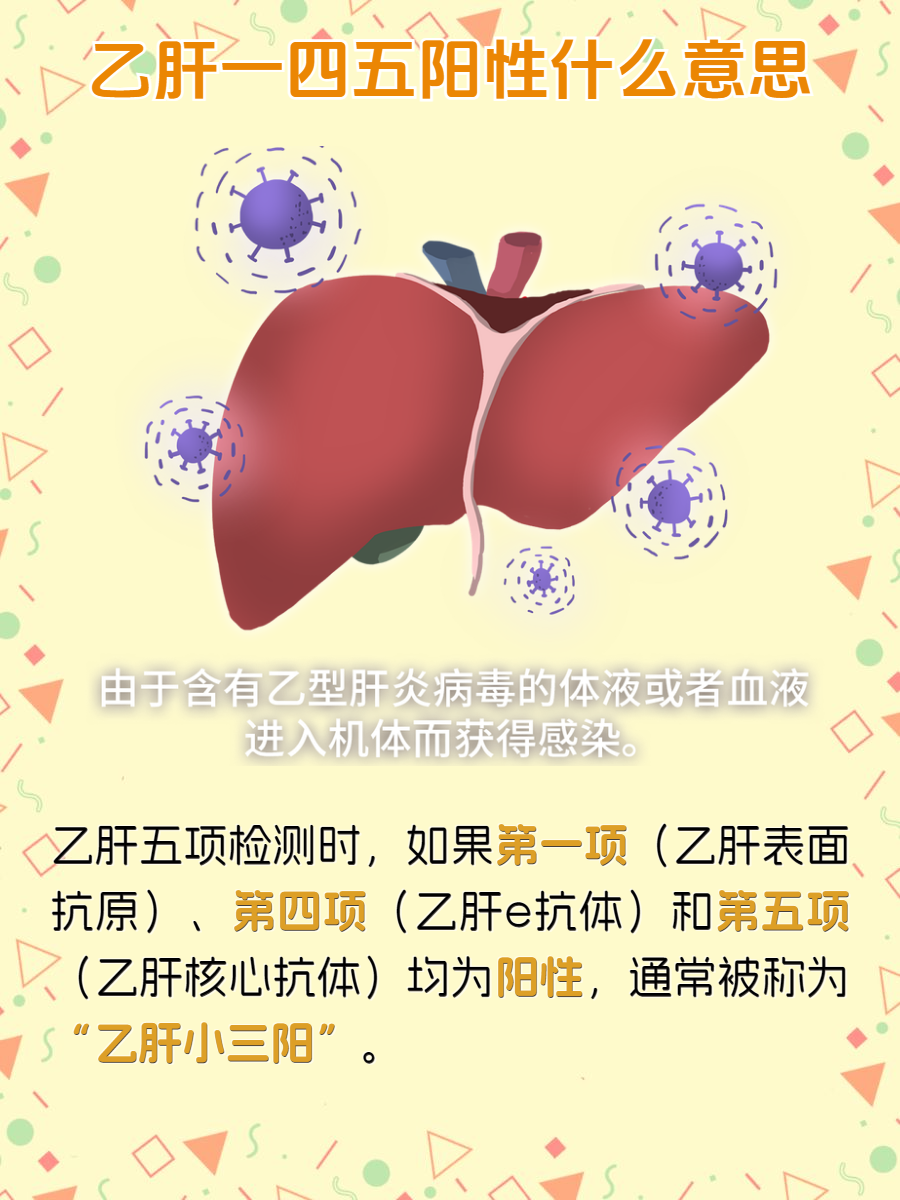 乙肝表面抗体呈阳性是什么意思
