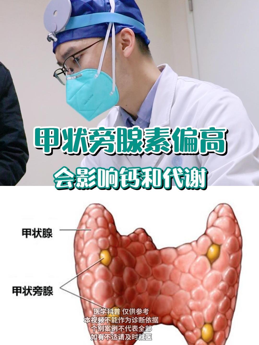 甲状旁腺激素偏高对人有什么危害