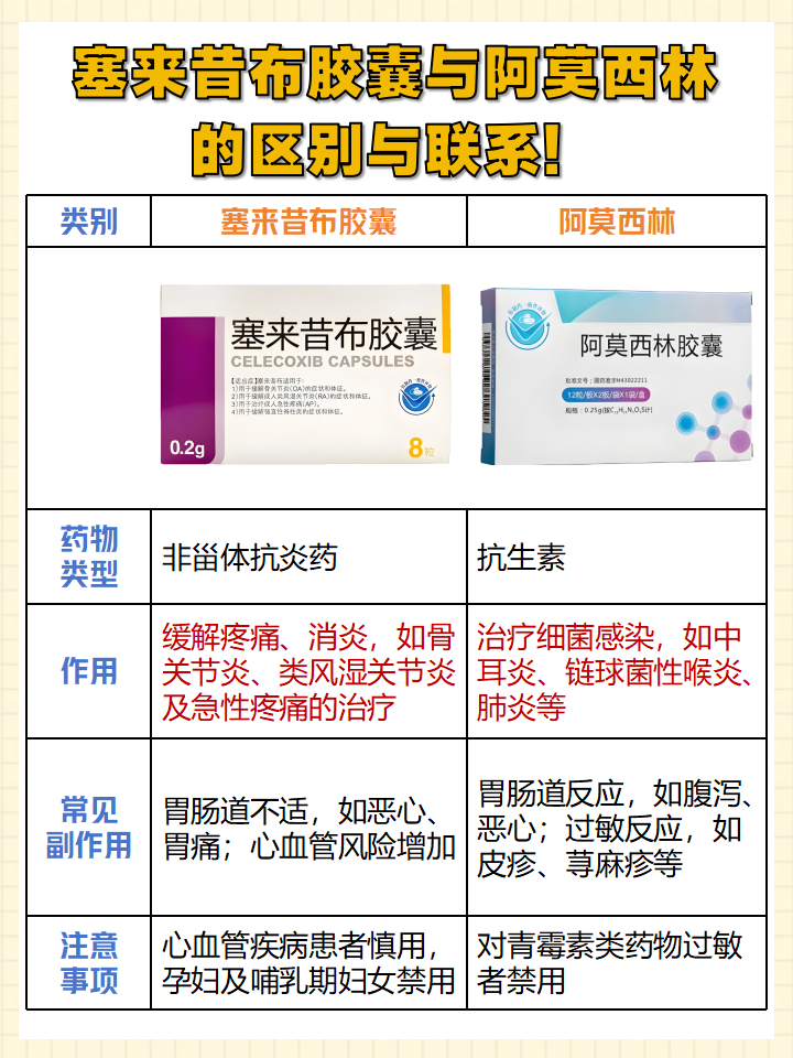 头孢西丁的功效与作用