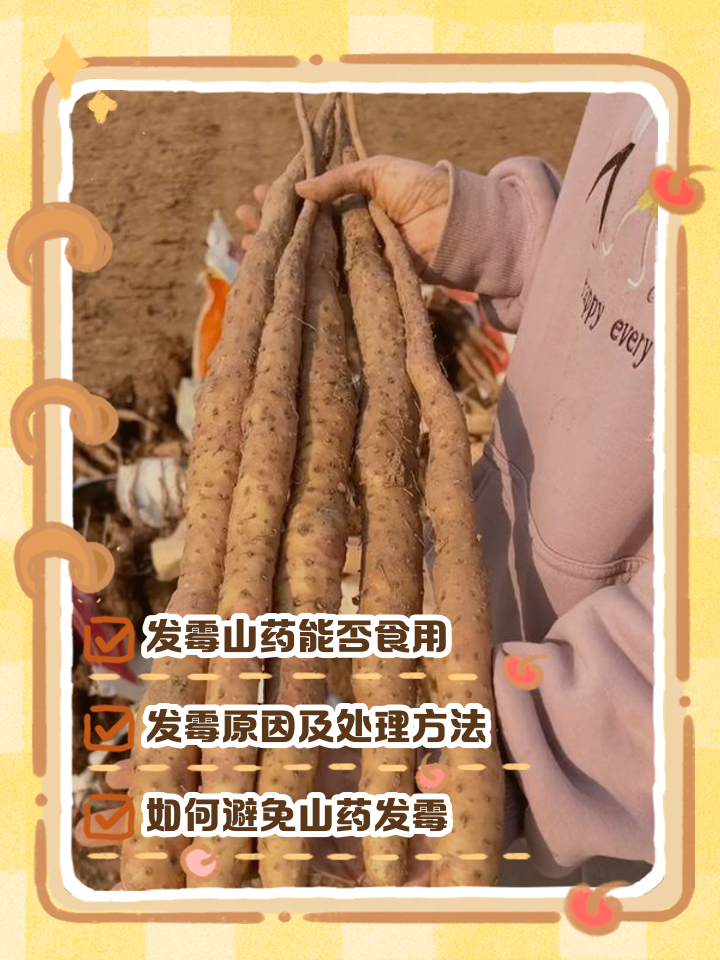 孕妇能吃山药吗?