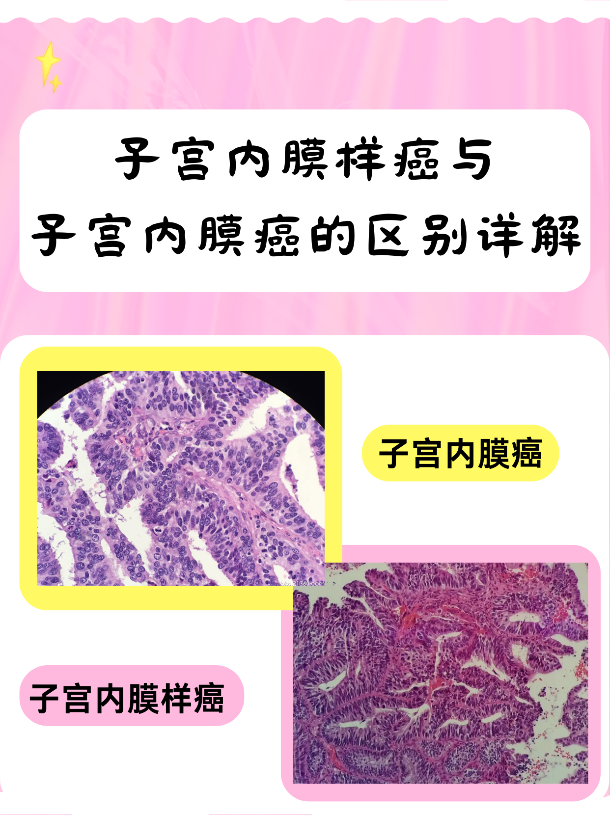 2025年11月24日 第12页