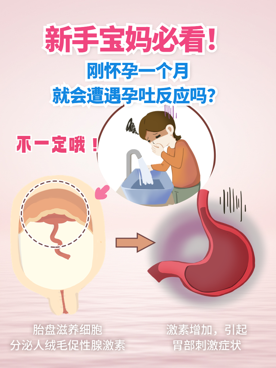 怀孕吐得很厉害怎么办