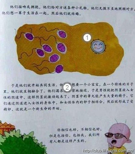 详解女性生殖器结构知识