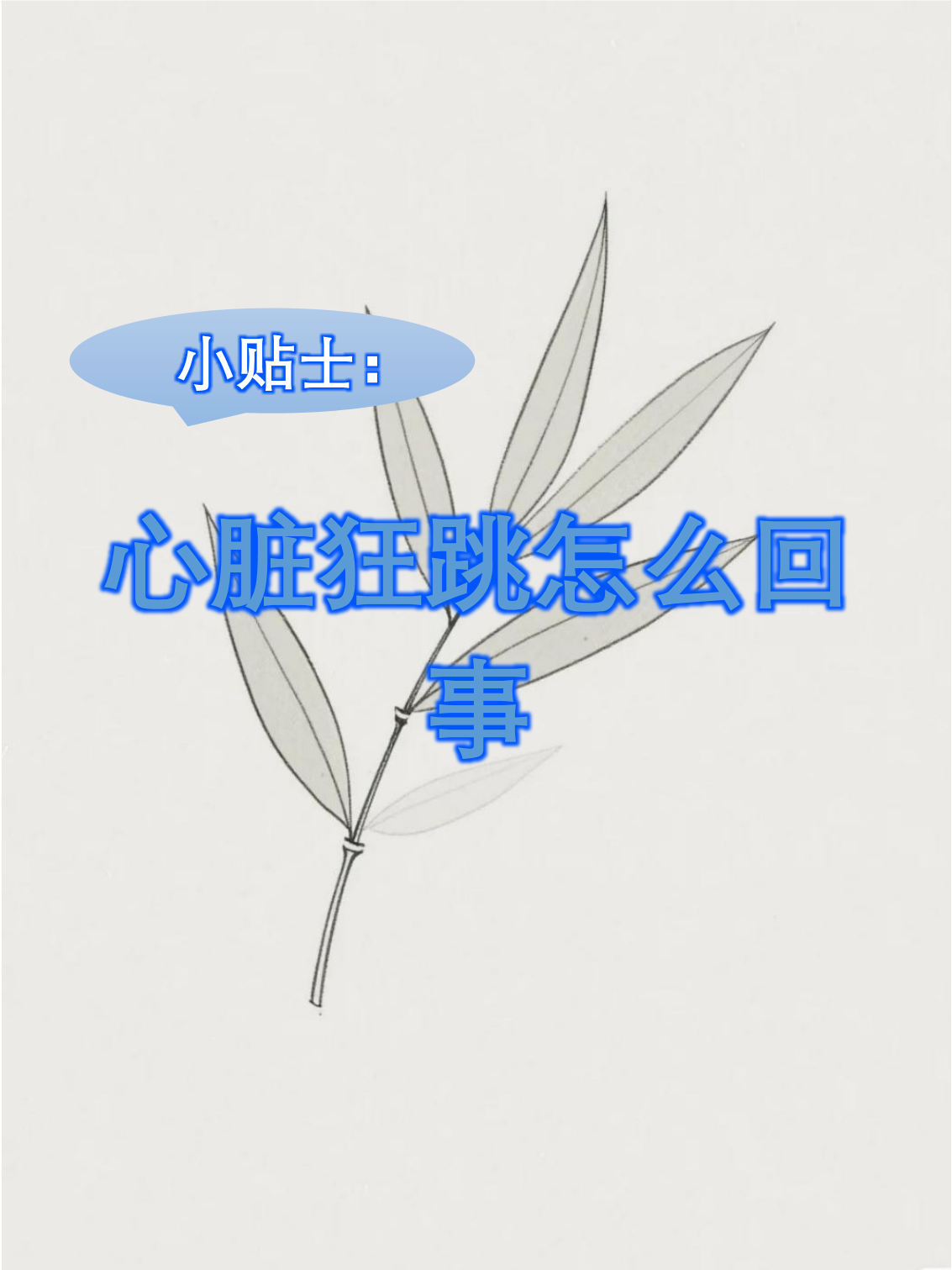心脏跳的慢是什么原因