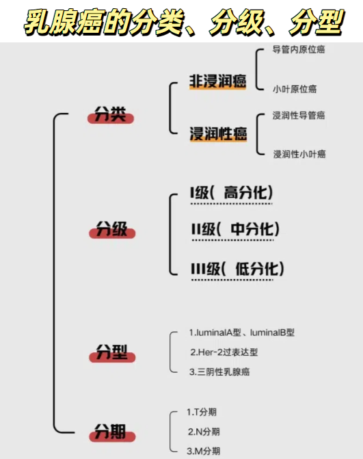 乳腺癌免疫组化.是什么意思