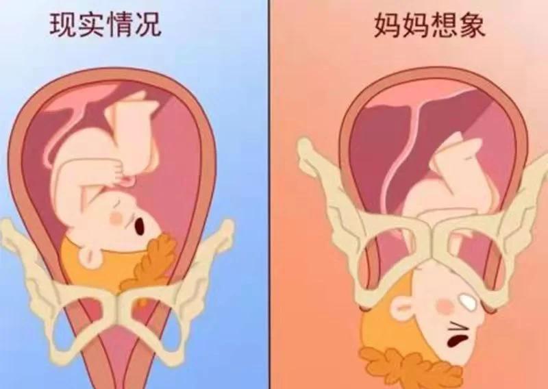 入盆是什么感觉