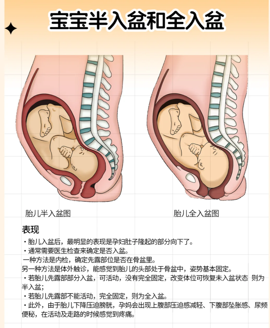 入盆是什么感觉
