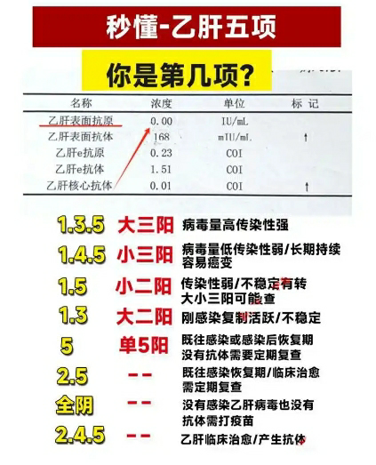 乙肝检测项目有哪些