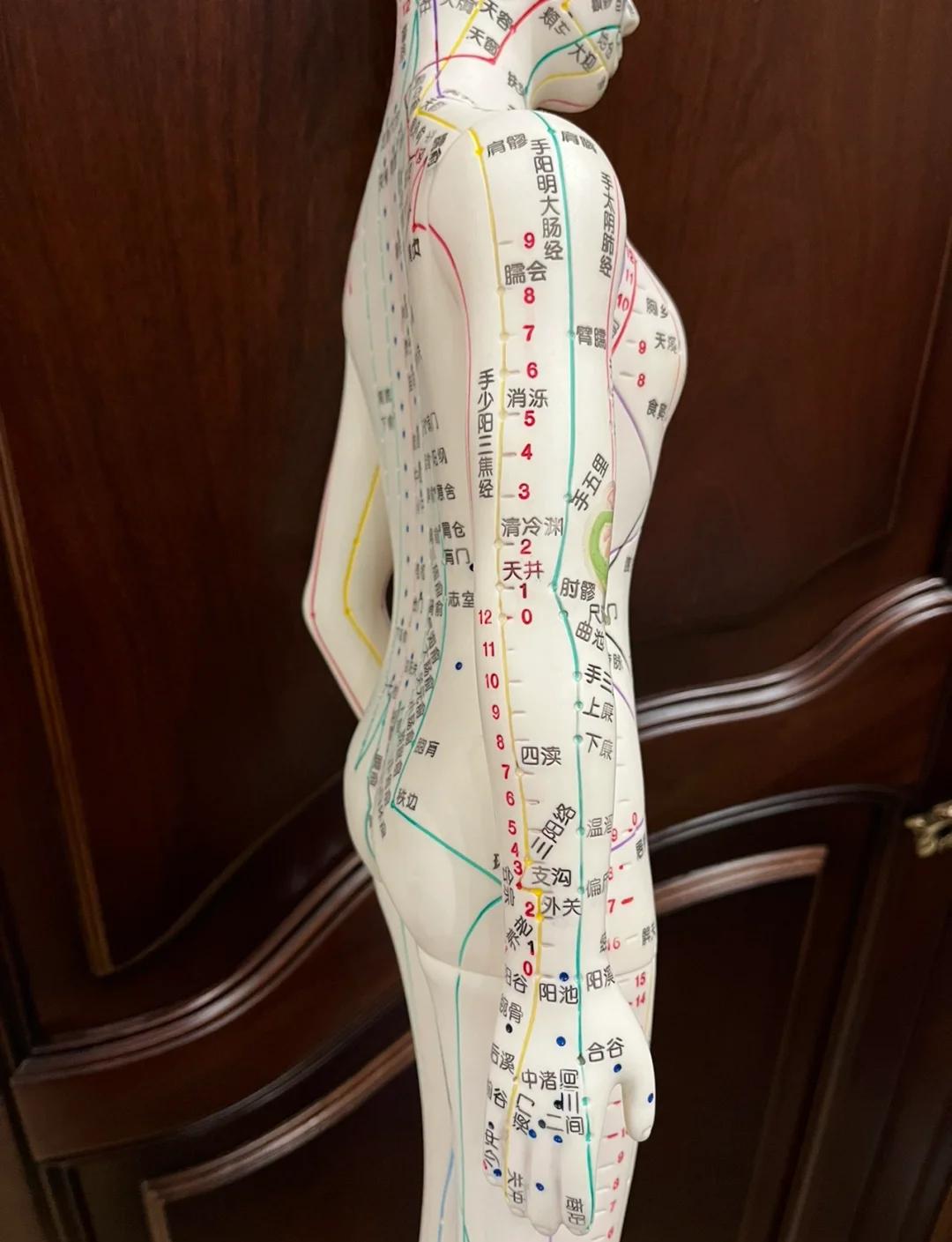 肩周炎针灸穴位