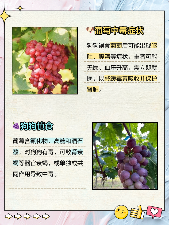 葡萄吃多了有什么坏处