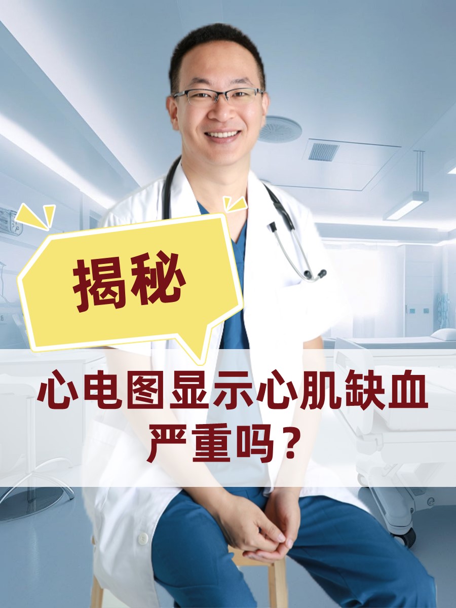 2025年11月25日 第12页