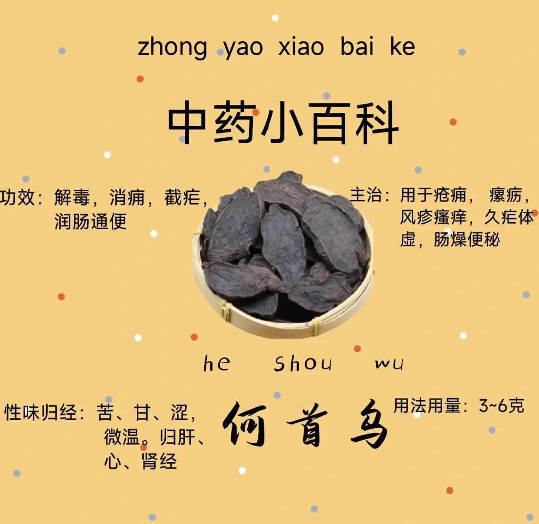 何首乌泡酒的功效与作用