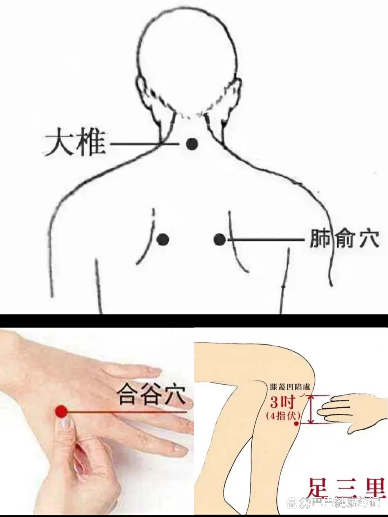 2025年11月25日 第8页