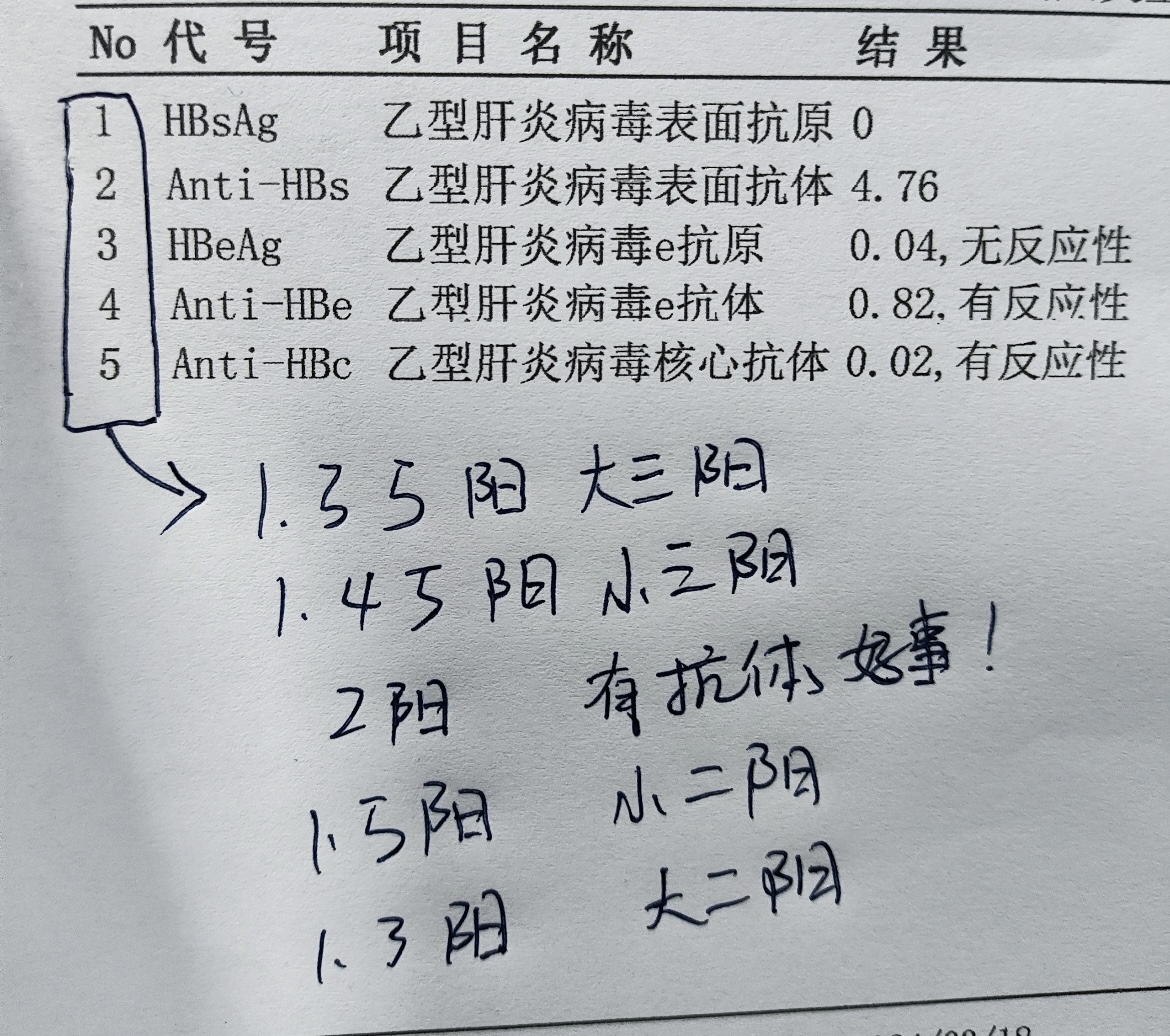 乙肝五项正常结果怎么看