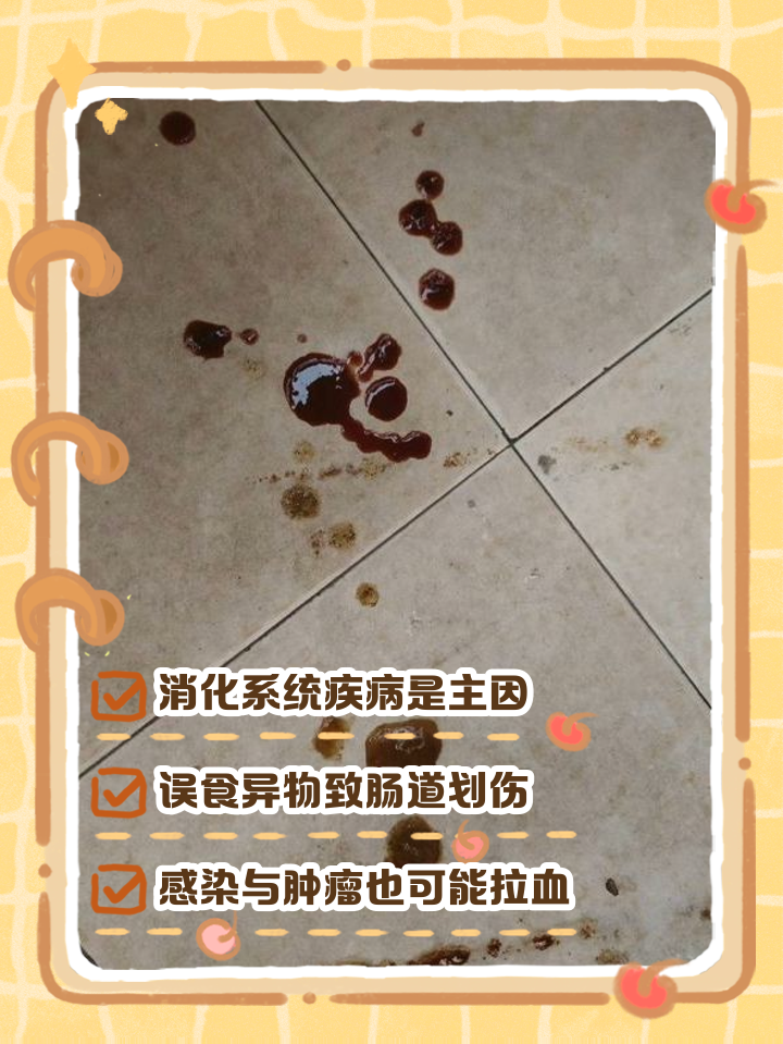 拉血是怎么回事呀