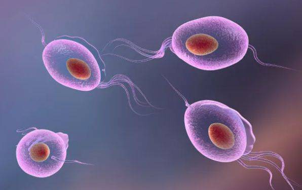 滴虫性阴道炎的症状有哪些表现