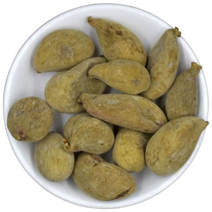 五贝子中药功效有哪些