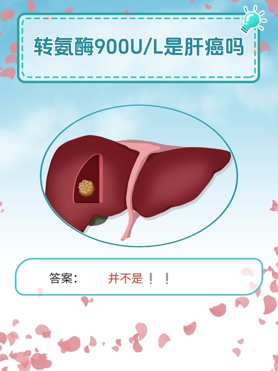 转氨酶是什么东西